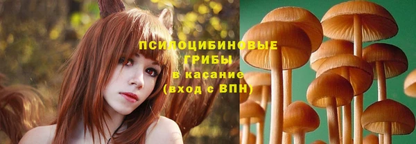 spice Алексеевка