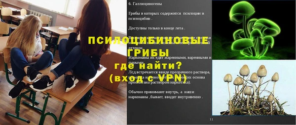 амф Алексин