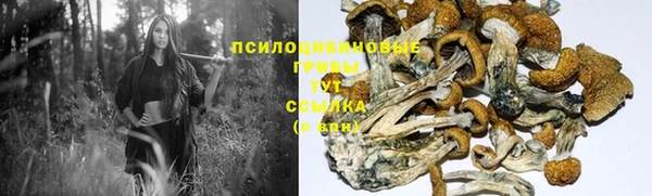 амф Алексин