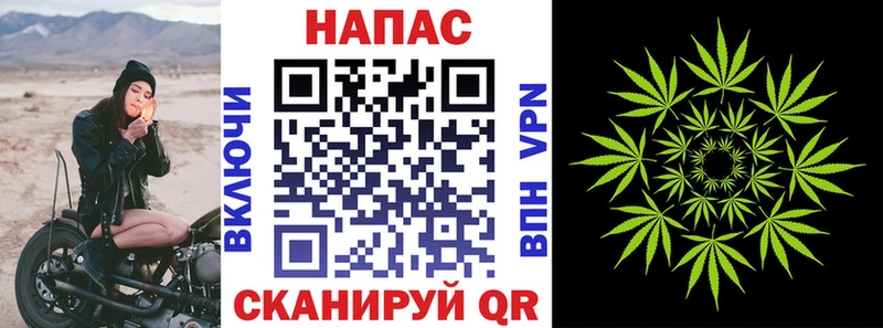 Бошки марихуана план  Яровое 